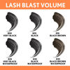 Picture of Covergirl Lash Blast Volume Waterproof Mascara, Very Black