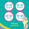 Picture of Pampers Easy Ups Training Underwear Girls 3T-4T 22 Count