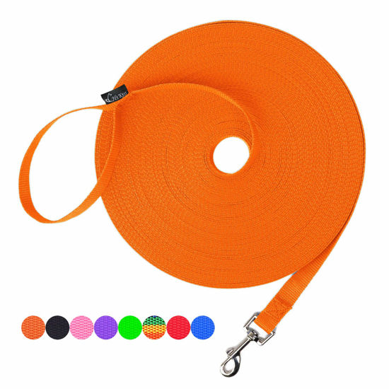 Picture of Hi Kiss Dog/Puppy Obedience Recall Training Agility Lead - 15ft 20ft 30ft 50ft 100ft Training Leash - Great for Training, Play, Camping, or Backyard - Orange 30ft