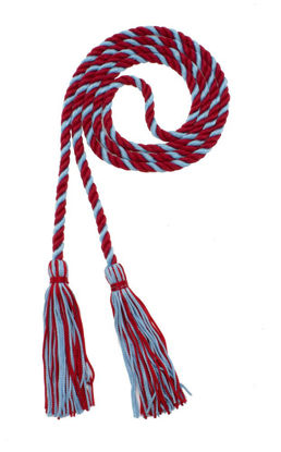 Picture of Graduation Honor Cord - RED/LT Blue - Every School Color Available - Made in USA - by Tassel Depot