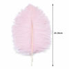 Picture of 24pcs Natural Light Pink Ostrich Feathers 10-12inch (25-30cm) for Wedding Party Centerpieces，Flower Arrangement and Home Decoration.