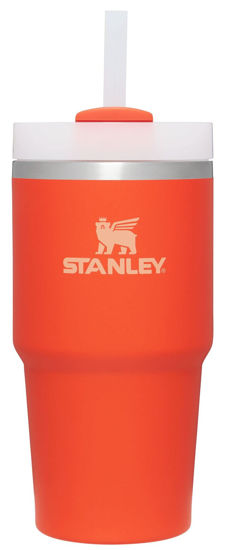 Picture of Stanley Quencher H2.0 FlowState Stainless Steel Vacuum Insulated Tumbler with Lid and Straw for Water, Iced Tea or Coffee, Smoothie and More 20oz