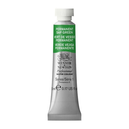 Picture of Winsor & Newton Professional Watercolor, 5ml (0.17-oz) Tube, Permanent Sap Green