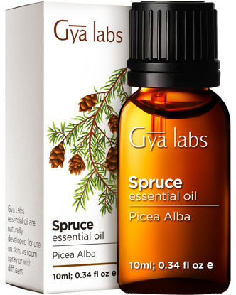 Picture of Gya Labs Spruce Essential Oil (10ml) - Woody, Balsamic & Refreshing Scent