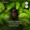 Picture of Gya Labs Spruce Essential Oil (10ml) - Woody, Balsamic & Refreshing Scent