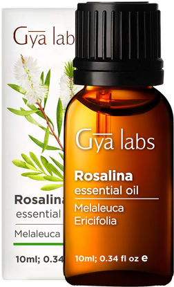 Picture of Gya Labs Rosalina Essential Oil (10ml) - 100% Pure Therapeutic Grade and Undiluted Natural - Lemony, Camphorous & Floral Scent