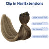 Picture of GOO GOO Clip in Hair Extensions, Balayage Chocolate Brown to Honey Blonde Human Hair Extensions 14 Inch 120g 7pcs Remy Clip in Hair Extensions Real Natural Hair Straight Thick Hair