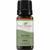 Picture of Plant Therapy Tea Tree Essential Oil 100% Pure, Undiluted, Natural Aromatherapy, Therapeutic Grade 10 mL (1/3 oz)