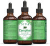 Picture of Siva Camphor Essential Oil 4 Fl Oz with Premium Glass Dropper - 100% Pure, Natural, Undiluted, Premium Therapeutic Grade, Great for Skincare, Smooth Hair, Diffuser, Aromatherapy, Soap & Candle