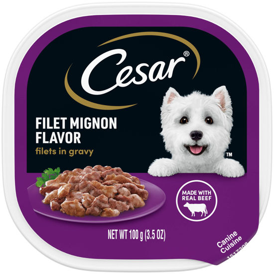 Picture of CESAR Adult Soft Wet Dog Food Filets in Gravy Filet Mignon Flavor, (24) 3.5 oz. Trays