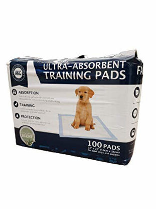 Picture of Puppy Training Pads Ultra Absorbent 6-Layer Leak-proof Protection with Quick Dry Gel - 22 x 22 Pee Pads - Eucalyptus Scented - Pack of 100