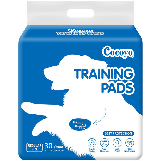 Best 2024 pee pads