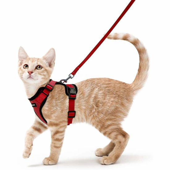 Picture of rabbitgoo Cat Harness and Leash for Walking, Escape Proof Soft Adjustable Vest Harnesses for Cats, Easy Control Breathable Reflective Strips Jacket, Red, XS