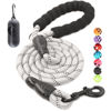 Picture of BAAPET 2/4/5/6 FT Dog Leash with Comfortable Padded Handle and Highly Reflective Threads for Small Medium and Large Dogs (6FT-1/2'', Silver)