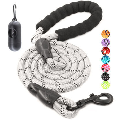 Picture of BAAPET 2/4/5/6 FT Dog Leash with Comfortable Padded Handle and Highly Reflective Threads for Small Medium and Large Dogs (6FT-1/2'', Silver)