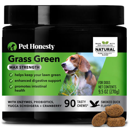 Picture of PetHonesty Grass Green Max Strength Burn Spot Chews for Dogs - Premium Formula - Dog Pee Lawn Spot Saver Supplement Caused by Dog Urine, Supports Healthy Digestion w/Probiotics + DL-Methionine -90ct