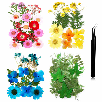 Picture of Pressed Flowers Resin Flowers for Resin Mold, Real Daisy Dried Flower Leaves Natural with Tweezers for Scrapbooking DIY Candle Accessories Jewelry Crafts Making (Colorful Style)