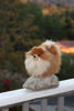 Picture of Aurora® Adorable Miyoni® Pomeranian Stuffed Animal - Lifelike Detail - Cherished Companionship - Brown 9 Inches