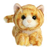 Picture of Aurora® Adorable Mini Flopsie™ Ginger Cat™ Stuffed Animal - Playful Ease - Timeless Companions - Orange 8 Inches