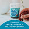 Picture of OLLY Goodbye Stress Gummy, GABA, L-Theanine, Lemon Balm, Stress Relief Supplement, Berry - 42 Count