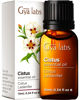 Picture of Gya Labs Cistus Essential Oil - Balsamic, Woody Scent for Hair Health, Healthy Scalp, Cleansing & Purifying Properties for Home Diffuse, Relaxing Ambience, and Skin (0.34 fl oz)