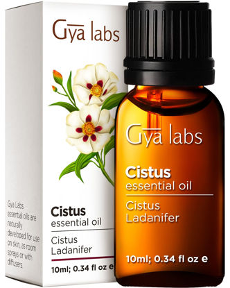 Picture of Gya Labs Cistus Essential Oil - Balsamic, Woody Scent for Hair Health, Healthy Scalp, Cleansing & Purifying Properties for Home Diffuse, Relaxing Ambience, and Skin (0.34 fl oz)