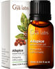 Picture of Gya Labs Allspice Essential Oil - Sweet, Spicy & Comforting Scent - (0.34 fl oz)