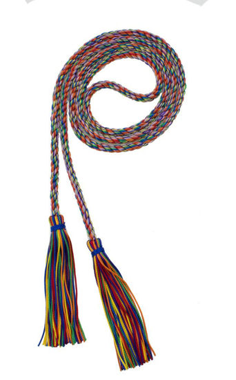 Picture of Graduation Honor Cord - Rainbow - Every School Color Available - Made in USA - by Tassel Depot