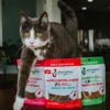 Picture of SHAMELESS PETS Crunchy Cat Treats - Kitty Treats for Cats with Digestive Support, Natural Ingredients Kitten Treats with Real Tuna, Healthy Flavored Feline Snacks - Lobster & Cheese, 1-Pk