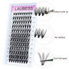 Picture of Cluster Lashes 20D Mixed Tray DIY Eyelash Extension Short and Long Individual Lashes Clusters Extensions D Curl Natural Look 3D Effect Makeup 120pcs (20D-0.07D, 9-16mm)