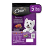 Picture of CESAR Small Breed Dry Dog Food Filet Mignon Flavor with Spring Vegetables Garnish Dog Kibble, 5 lb. Bag