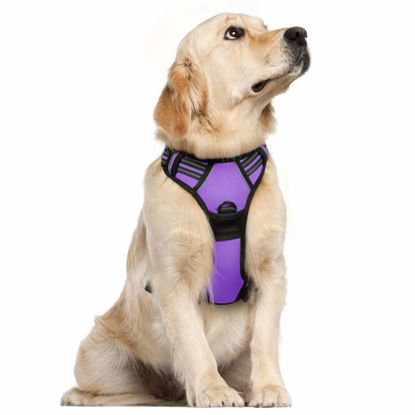 Picture of rabbitgoo Dog Harness, No-Pull Pet Harness with 2 Leash Clips, Adjustable Soft Padded Dog Vest, Reflective No-Choke Pet Oxford Vest with Easy Control Handle for Large Dogs, Purple, XL