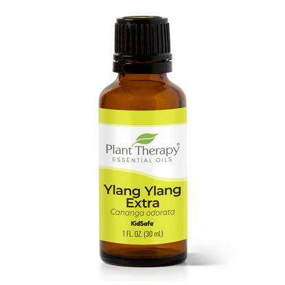 Picture of Plant Therapy Ylang Ylang Extra Essential Oil 30 mL (1 oz) 100% Pure, Undiluted, Therapeutic Grade