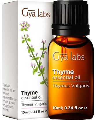 Picture of Gya Labs Thyme Essential Oil for Hair - Thyme Oil for Skin - Thyme Essential Oil Organic for Diffuser (0.34 Fl Oz)