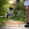 Picture of Fruitables Skinny Mini Dog Treats - Healthy Treats for Dogs - Low Calorie Training Treats - Free of Wheat, Corn and Soy - Pumpkin and Mango - 5 Ounces