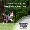 Picture of Nutramax Denamarin Liver Health Supplement for Medium Dogs - With S-Adenosylmethionine (SAMe) and Silybin, 30 Tablets