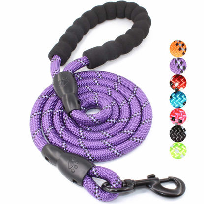 Picture of BAAPET 2/4/5/6 FT Dog Leash with Comfortable Padded Handle and Highly Reflective Threads for Small Medium and Large Dogs (5FT-1/2'', Purple)