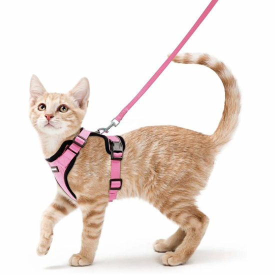 Picture of rabbitgoo Cat Harness and Leash for Walking, Escape Proof Soft Adjustable Vest Harnesses for Cats, Easy Control Breathable Reflective Strips Jacket, Pink, XS (Chest: Chest: 13.5"-16")