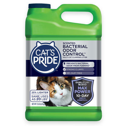 Picture of Cat's Pride Max Power: Bacterial Odor Control - Up to 10 Days of Powerful Odor Control - Strong Clumping - 99% Dust Free - Multi-Cat Litter, Scented, 15 Pounds