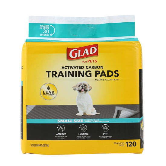 Pee pads outlet that attract dogs