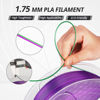 Picture of AMOLEN 3D Printer Filament, PLA Filament 1.75mm, Shiny Purple Green PLA 3D Printing Filament, 1kg