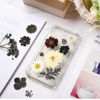 Picture of Pressed Flowers Resin Flowers for Resin Mold, Real Daisy Dried Flower Leaves Natural with Tweezers for Scrapbooking DIY Candle Accessories Jewelry Crafts Making (Darkly Style)