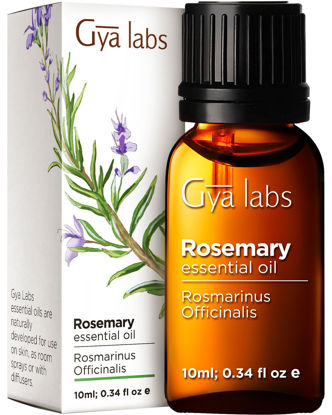 Picture of Gya Labs Rosemary Oil for Hair & Scalp - 100% Natural Rosemary Essential Oils for Hair, Skin & Diffuser (0.34 fl oz)