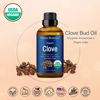 Picture of Organic Clove Essential Oil 30 ml - for Tooth Ache Ease - Soothes Sore Muscles - Clove Bud Oil for Teeth, Gums, Toothache, Skin Use and Hair Care from Nexon Botanics