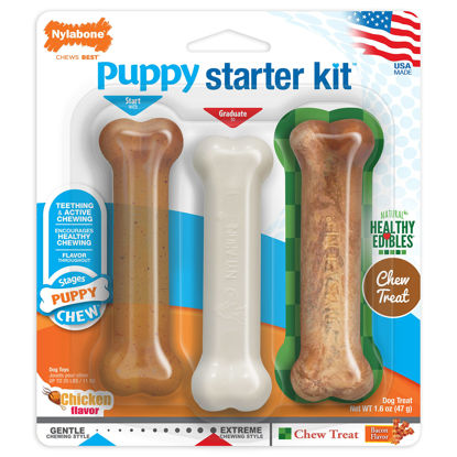 Picture of Nylabone Puppy Chew Toy & Treat Starter Pack - Puppy Chew Toys for Teething - Long Lasting Puppy Chew Treat - Puppy Supplies - Chicken & Bacon Flavor, Small (3 Count)