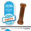 Picture of Nylabone Puppy Chew Toy & Treat Starter Pack - Puppy Chew Toys for Teething - Long Lasting Puppy Chew Treat - Puppy Supplies - Chicken & Bacon Flavor, Small (3 Count)