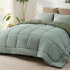 Picture of Bedsure Full Reversible Comforter Duvet Insert - All Season Quilted Comforters Full Size, Down Alternative Full Size Bedding Comforter with Corner Tabs - Green/Light Green