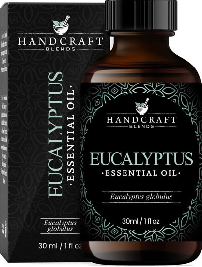 Picture of Handcraft Eucalyptus Essential Oil - 100% Pure and Natural - Premium Therapeutic Grade Essential Oil for Diffuser and Aromatherapy - 1 Fl Oz