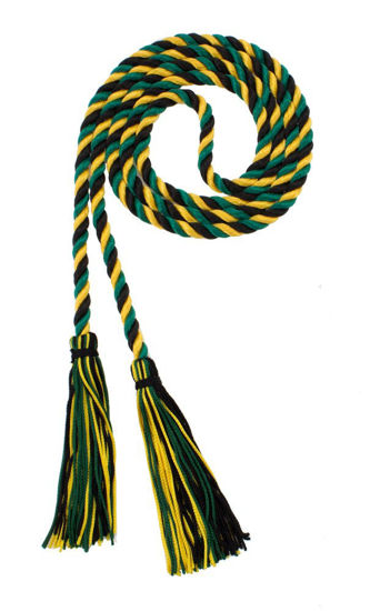 Picture of Graduation Honor Cord - Black/DKGREEN/Gold - Every School Color Available - Made in USA - by Tassel Depot