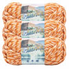 Picture of Lion Brand Yarn Hometown Yarn, Bulky Yarn, Yarn for Knitting and Crocheting, 3-Pack, San Juan Sunset